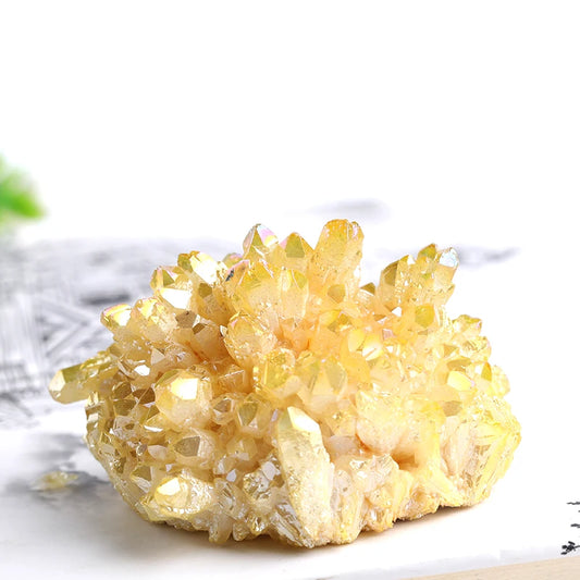 41927558758515|41927558791283|41927558824051|41927558955123|41927558987891