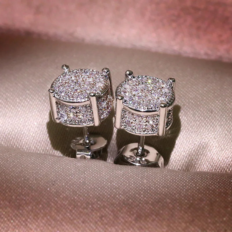 Exquisite Zircon Silver Stud Earrings