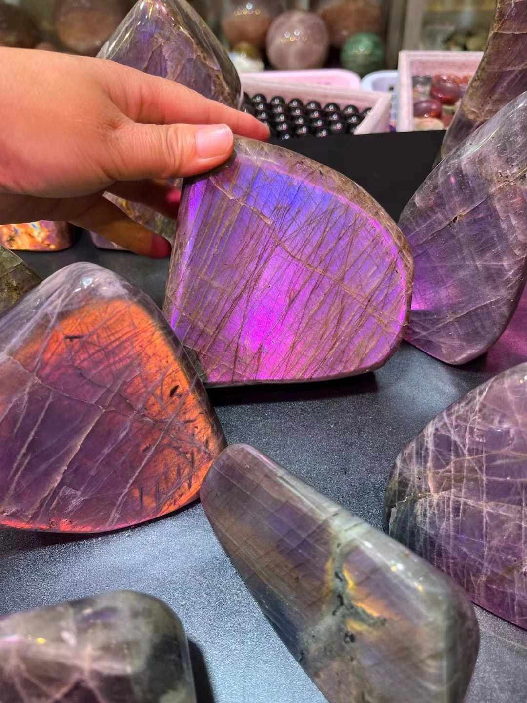 41927556530291|41927556595827|41927556661363|41927556694131|41927556759667|41927556825203|41927556923507|41927556956275|41927556989043|41927557021811|41927557054579|41927557087347|41927557120115|41927557152883