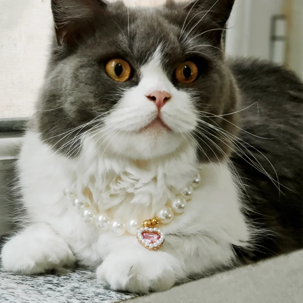 Pet Pearl Rhinestones Luxury Collar