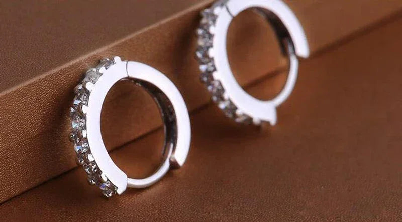 Luxury Circle Silver Diamond Hoop Earrings