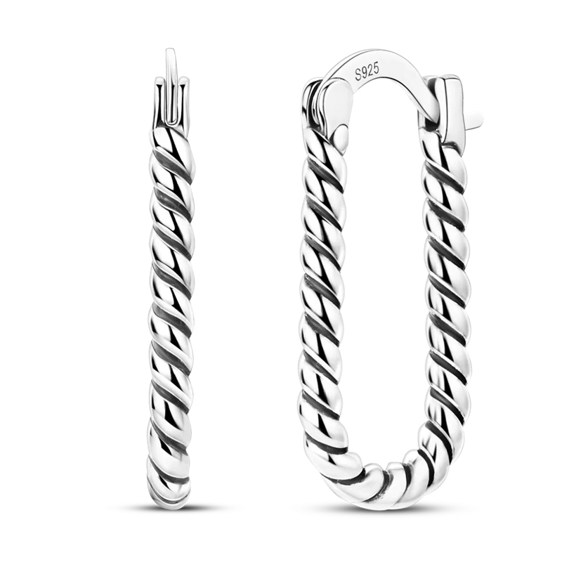 Elegantly Shaped Sparkling Pave Earrings