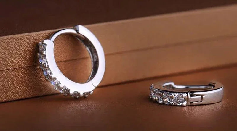 Luxury Circle Silver Diamond Hoop Earrings