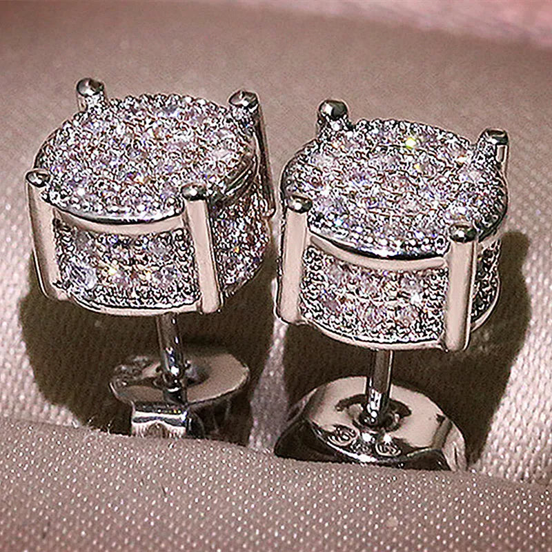 Exquisite Zircon Silver Stud Earrings