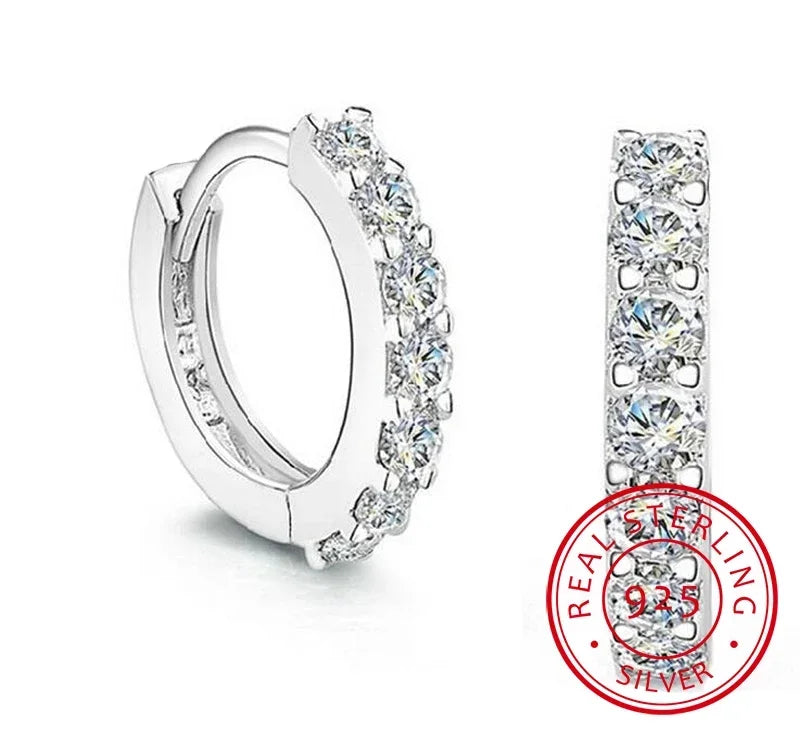 Luxury Circle Silver Diamond Hoop Earrings