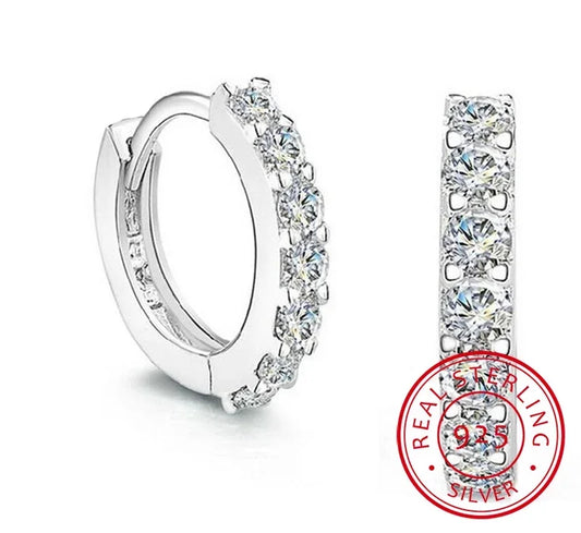Luxury Circle Silver Diamond Hoop Earrings