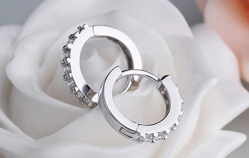 Luxury Circle Silver Diamond Hoop Earrings